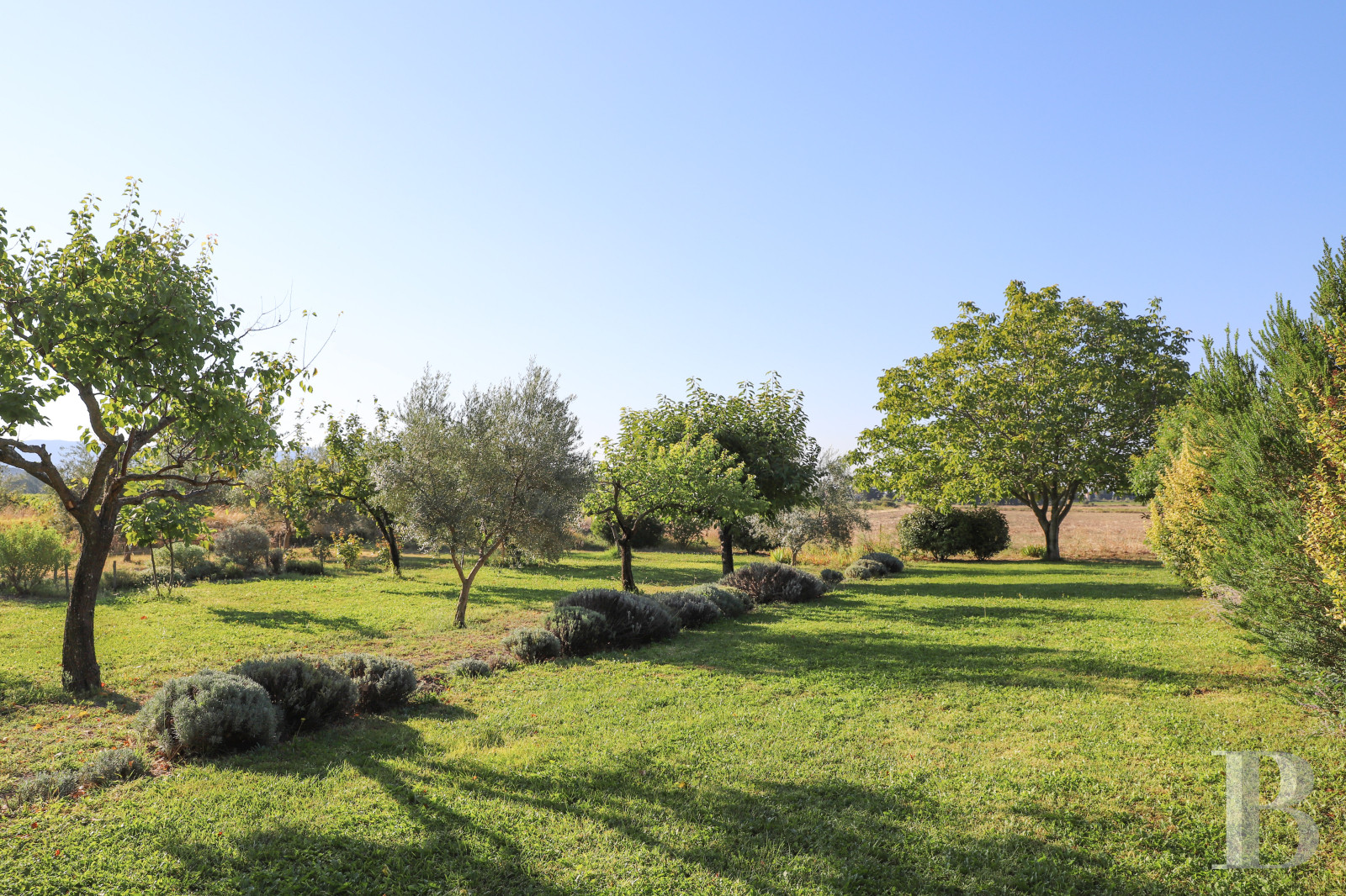 Dans le Vaucluse, au sud-est de Cairanne, une maison dédiée à la villégiature au cœur d’un domaine viticole  - photo  n°3